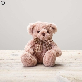Interflora sales teddy bear